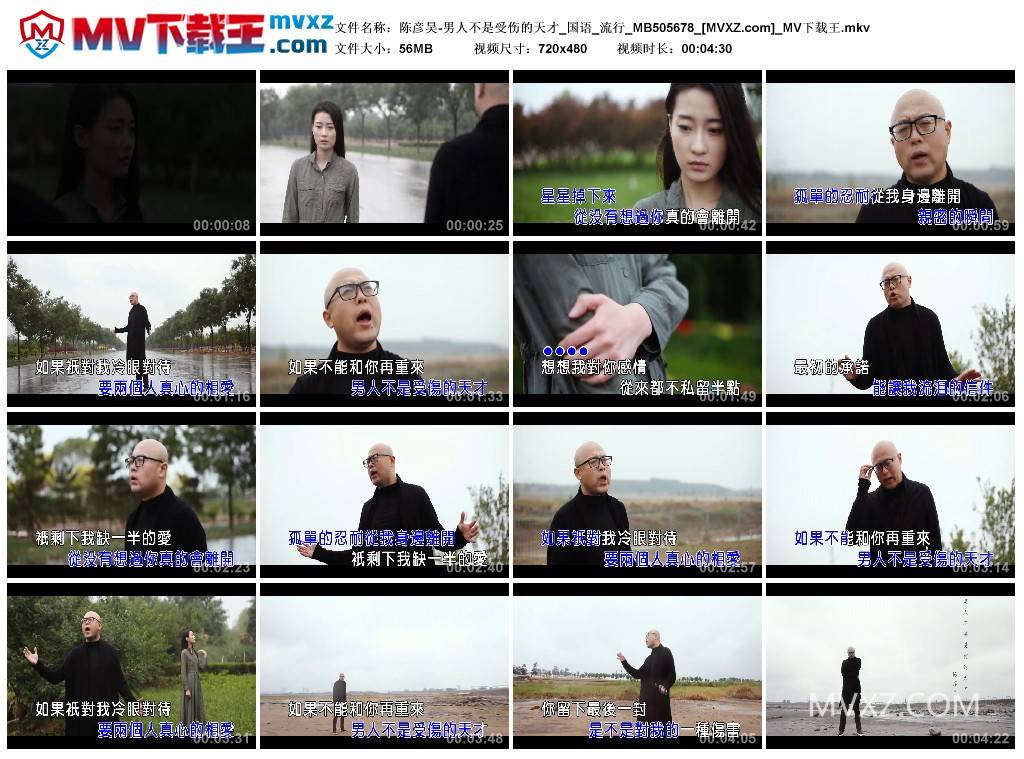 陈彦昊-男人不是受伤的天才_国语_流行_MB505678